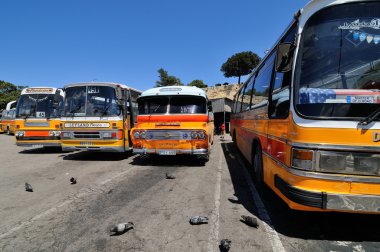 Malta halk otobüsleri