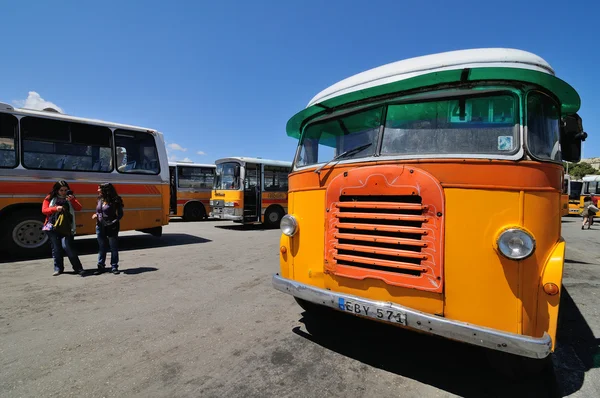 Malta autobusy — Zdjęcie stockowe