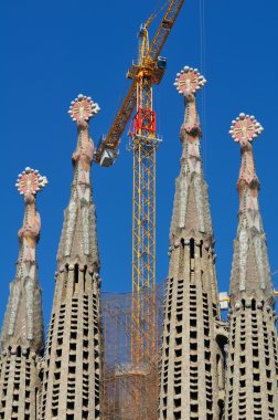 Barcelona 'daki Sagrada Familia Katedrali