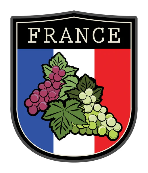 Étiquette drapeau avec raisins — Image vectorielle