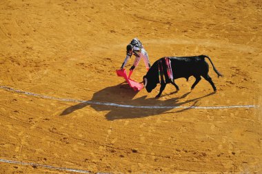 Corrida, İspanya