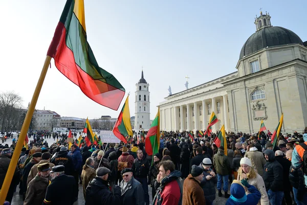 Den nezávislosti, Litva — Stock fotografie