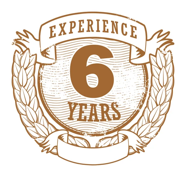 6 años de experiencia sello — Vector de stock