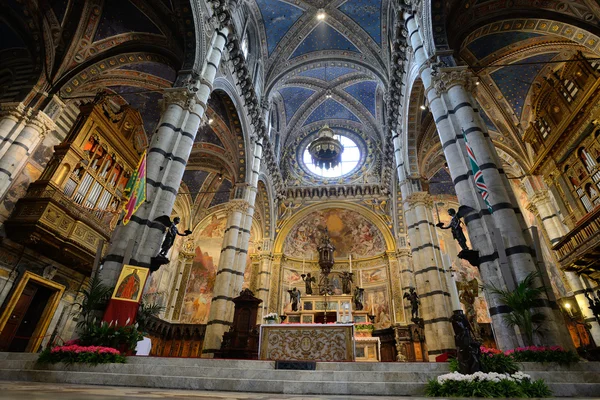Innenräume der Kathedrale von Siena, Italien — Stockfoto
