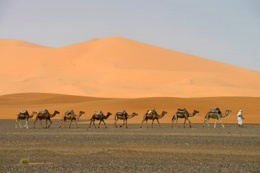 kum tepeleri gidiş deve karavan