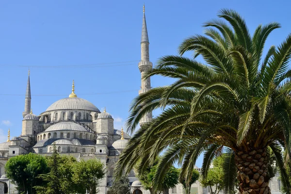 Blue Mosque — Stock Photo, Image