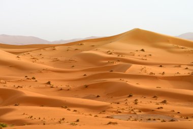 kum tepeleri Sahra