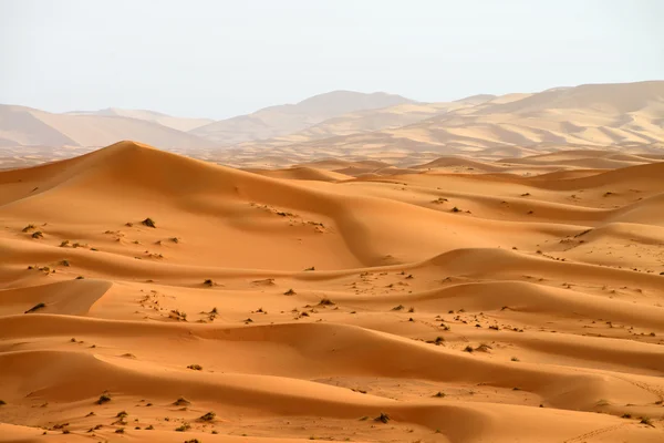 หุบเขาทรายในซาฮารา — ภาพถ่ายสต็อก