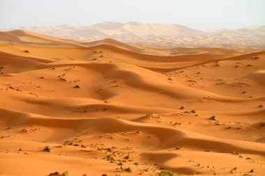 kum tepeleri Sahra