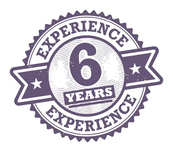 Печать с текстом 6 Years Experience — стоковый вектор