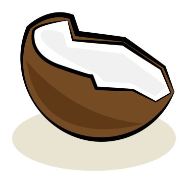 meyve, Hindistan cevizi