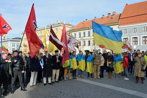2014 年 3 月 11 日ビリニュス、リトアニアの独立記念日 — ストック写真