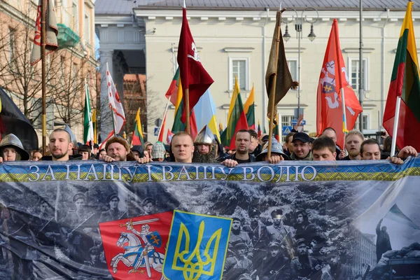 2014 年 3 月 11 日在维尔纽斯立陶宛独立日 — 图库照片