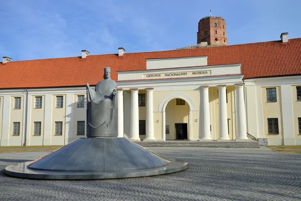 Litauiska medborgaremuseum, vilnius — Stockfoto