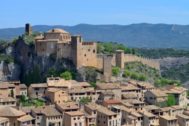 platt design: fågel. vektor illustration.