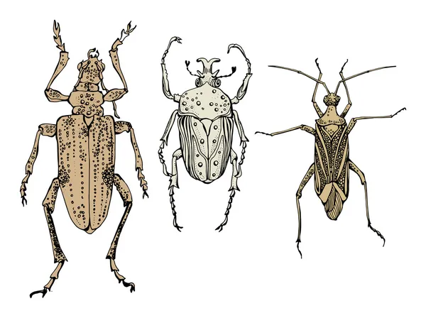 Рука малювати комах — стоковий вектор