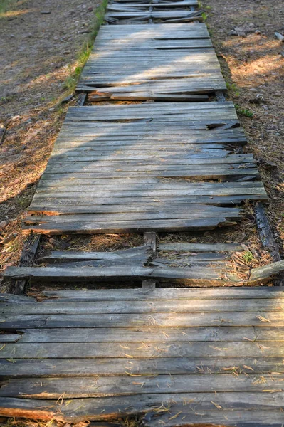 Sentiero Legno Rotto Danneggiato Nel Parco Cittadino Sentiero Pericolo Legno — Foto Stock