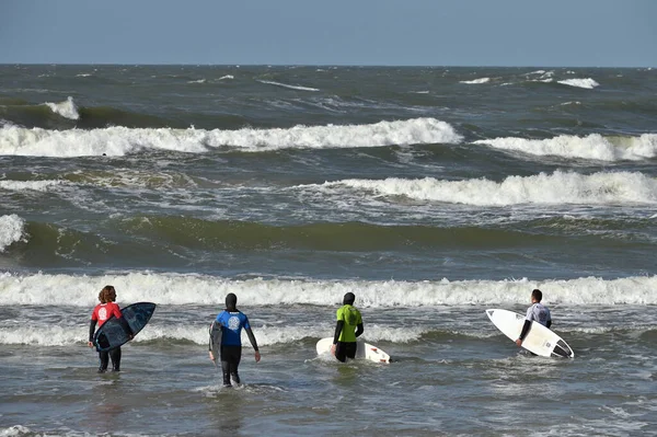 Kłajpeda Litwa Września Surferzy Kombinezonach Kąpielowych Przygotowujący Się Jazdy Falach — Zdjęcie stockowe
