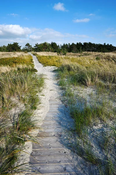 Sentiero Legno Spiaggia Del Mar Baltico Lituania — Foto Stock