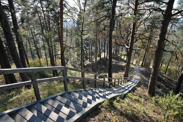 Ξύλινη Σκάλα Κιγκλίδωμα Για Αναρρίχηση Στο Λόφο Στο Πάρκο Της — Φωτογραφία Αρχείου