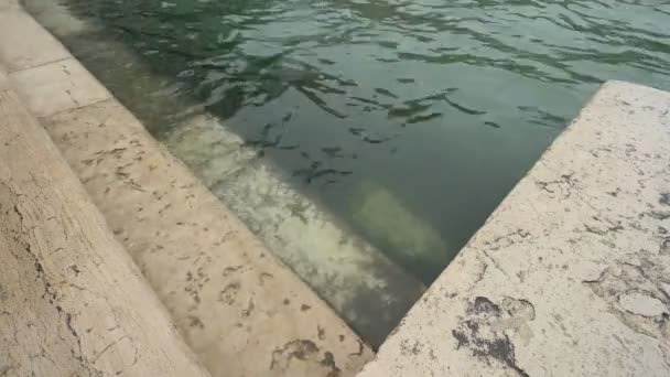 Venecia Escaleras Que Conducen Agua — Vídeo de stock