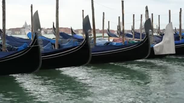 Noses Amarrou Gôndolas Close Início Manhã Veneza Itália — Vídeo de Stock