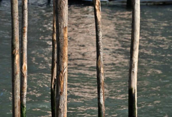 Wooden Poles Water Venice Canal — Stock Photo, Image