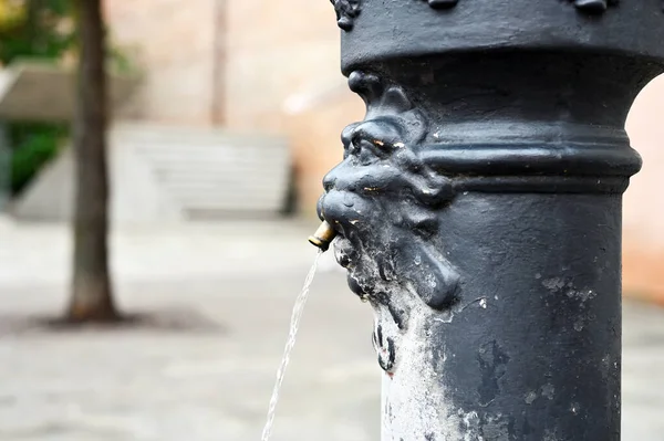 Fragmento Uma Escultura Uma Fonte Água Flui Para Fora Cabeça — Fotografia de Stock