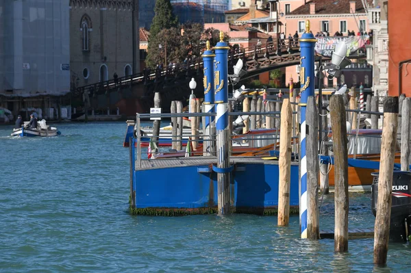 Venecia Italia Noviembre 2021 Muelle Madera Con Postes Canal Grand — Foto de Stock