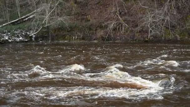 Río Sucio Con Agua Amarilla Fangosa Período Inundación Durante Las — Vídeos de Stock