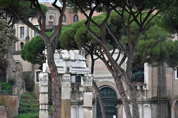 Roma Italia Febrero 2022 Ciudad Arqueológica Romana Ruinas Del Antiguo —  Fotos de Stock