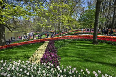 Keukenhof, Hollanda - 20 Nisan 2022: Çiçek bahçesi Keukenhof 'ta çiçek açan renkli laleler. Lisse, Hollanda, Hollanda 'daki popüler turizm sitesi