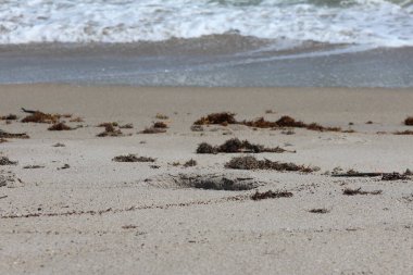 Kumsalda dalgalar çarpıyor.