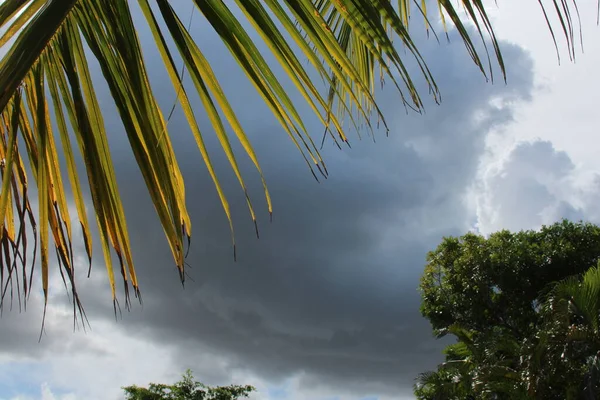 Nuvens Trovoadas Tropicais Flórida — Fotografia de Stock