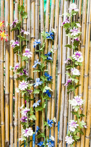 Květiny na plot bambus — Stock fotografie