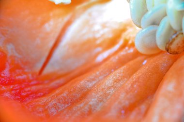 Makro Kırmızı Pul Biber