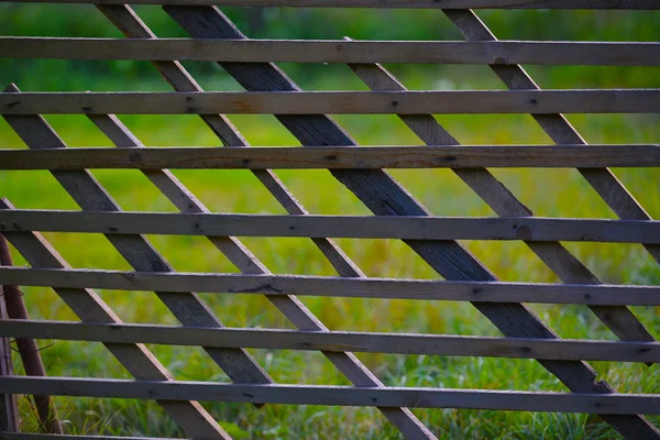 緑の芝生の木の柵 — ストック写真