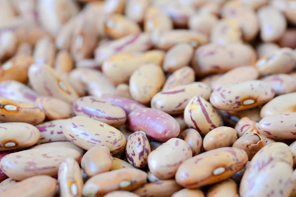 Close-up dry white beans on natural light — Stock Photo, Image