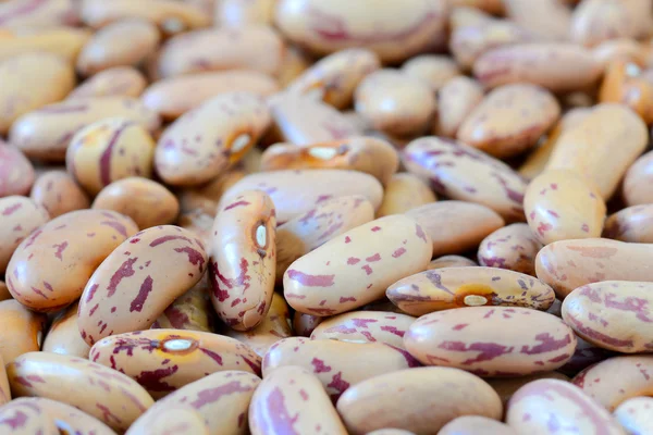 Close-up dry white beans on natural light — Stock Photo, Image