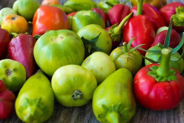 Capsicum and tomato — Stock Photo, Image