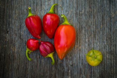 kırmızı biber ve domates