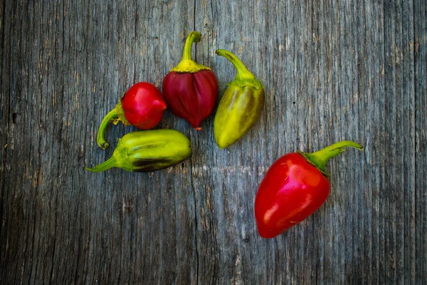 Rode paprika — Stockfoto