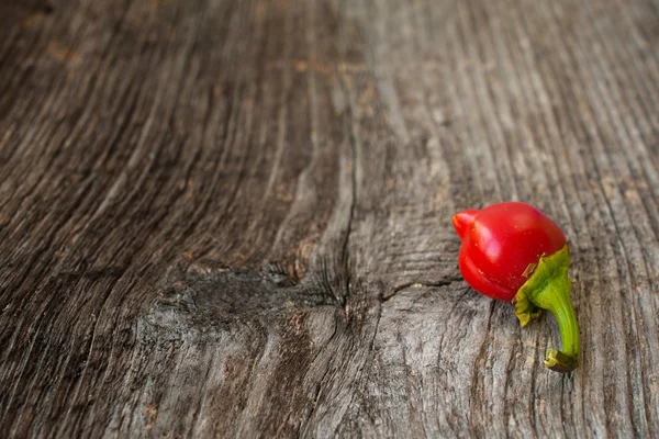 Červená paprika — Stock fotografie