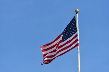 Amerikan bayrağı fotoğrafı
