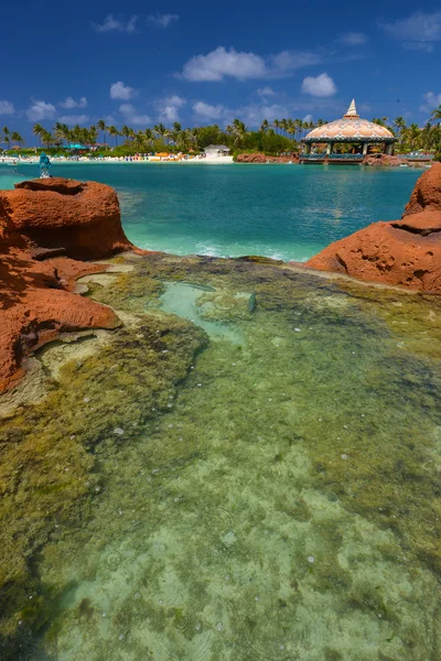 Landschaft in Nassau, Bahamas — Stockfoto