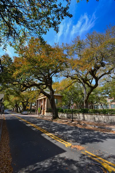 Small street on Charleston — Stock Photo, Image