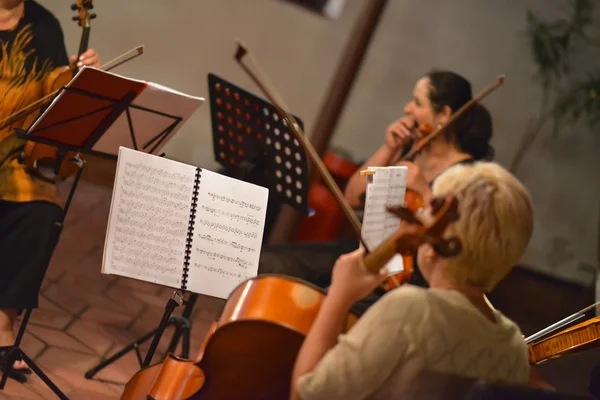 Violonista — Foto de Stock