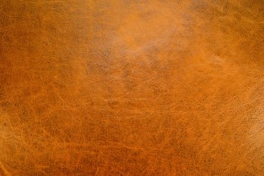 altın deri dokusu