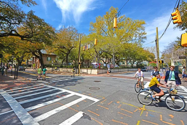 sevimli sokak sahnesi