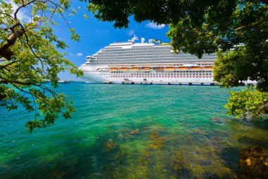 ağaç ve cruise gemi